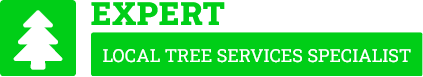 East Auckland Tree Services - Tree Removal East Auckland